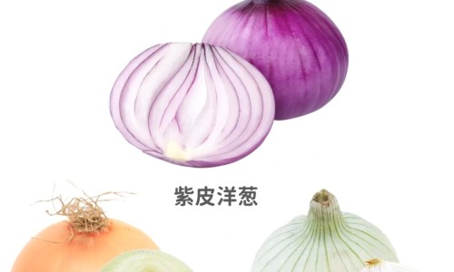 青柚的营养价值及功效与作用-青柚泡水的功效与作用-青柚茶柚,中国青柚茶功效网站